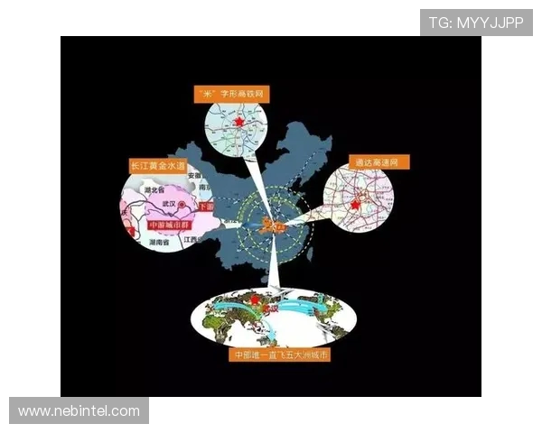聚焦篮球运动员成长之路与赛场荣耀全景解析发展历程未来展望趋势