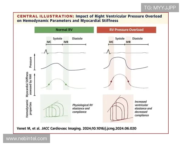 IG在精英赛中的个人能力分析与表现评估 IG在精英赛中的个人能力分析与表现评估