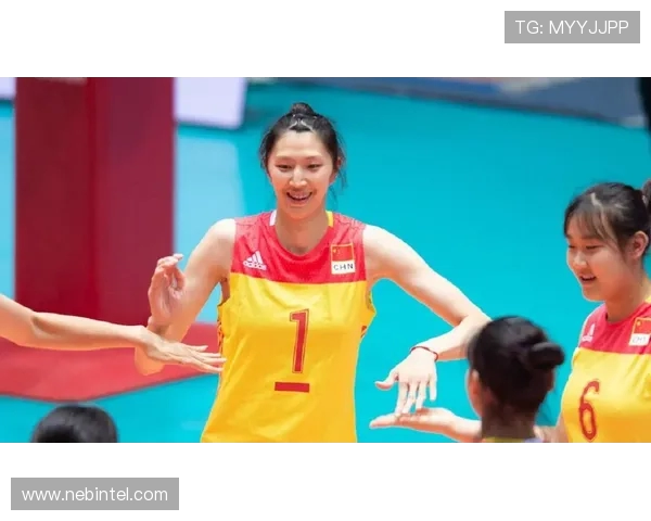 武汉排球队状态飙升夺冠热门最新排球状态TOP10全面解析