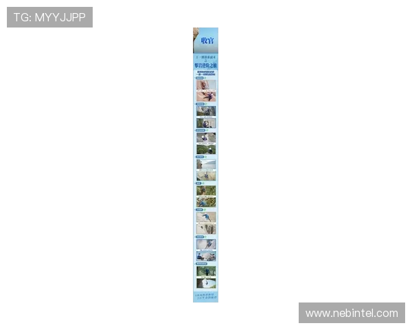 黄磊专访揭秘攀岩成功秘诀与个人成长历程分享