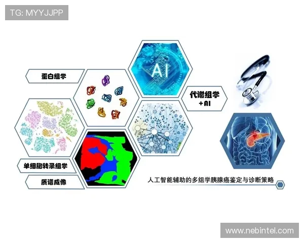 以Meiko为核心解析辅助打法体系与团队协同策略