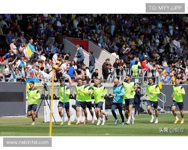 世预赛精彩对决芬兰迎战冰岛直播全程回顾与精彩瞬间分析